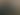 Dog 3