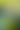 Green Abstract