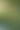 Emerald Reverie