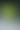 Shadows Nearby